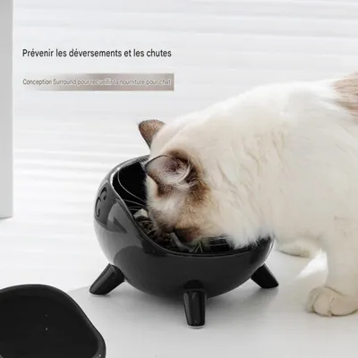 HausPets Cuenco de cerámica para gatos y perros
