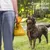 HausPets Dicke, biologisch abbaubare Hundekotbeutel
