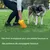 HausPets Dicke, biologisch abbaubare Hundekotbeutel