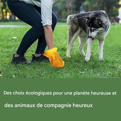HausPets Dicke, biologisch abbaubare Hundekotbeutel