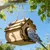 HausPets Casa para pájaros de madera