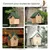 HausPets Casa para pájaros de madera HausPets Casa para pájaros de madera