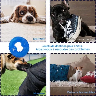 HausPets Donut-förmiges Hundespielzeug