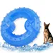 HausPets Donut-förmiges Hundespielzeug
