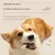 HausPets Hunde-Schrubbknochen