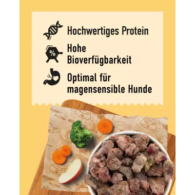 DIBO-Menü-Balance