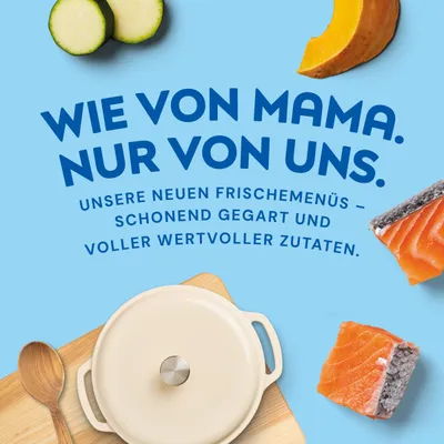 Nutriment Medaillons Probierpaket Lachs