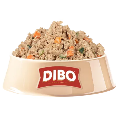 DIBO Frischemenü Lachs