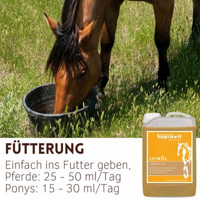 Supravit Leinöl Ergänzung Pferd & Hund - Frisches Leinsamenöl kaltgepresst
