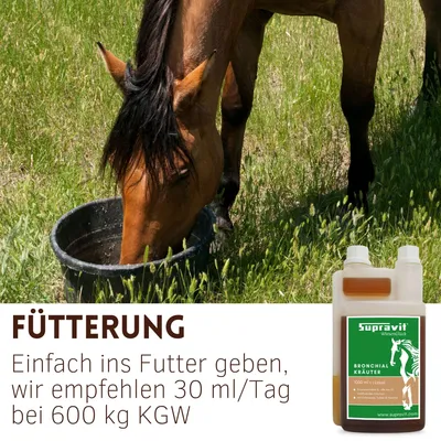 Supravit Bronchialkräuter Pferd 1l