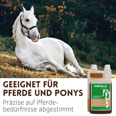Supravit Bronchialkräuter Pferd 1l
