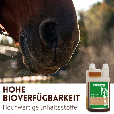 Supravit Bronchialkräuter Pferd 1l