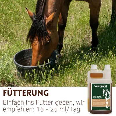 Supravit Schwarzkümmelöl Pferd & Hund 1l