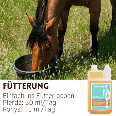 Supravit Elektrolyte Pferd Liquid - flüssiges Ergänzungsfutter für Pferde