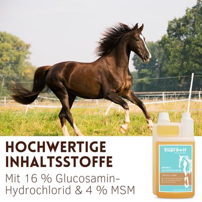 Supravit Elektrolyte Pferd Liquid - flüssiges Ergänzungsfutter für Pferde