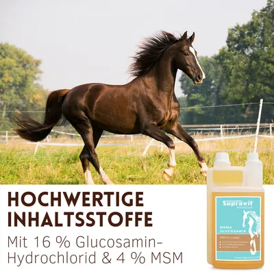 Supravit MSM & Glucosamin