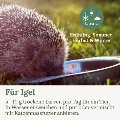 Orni Mehlwürmer getrocknet 500g Orni Mehlwürmer getrocknet 500g