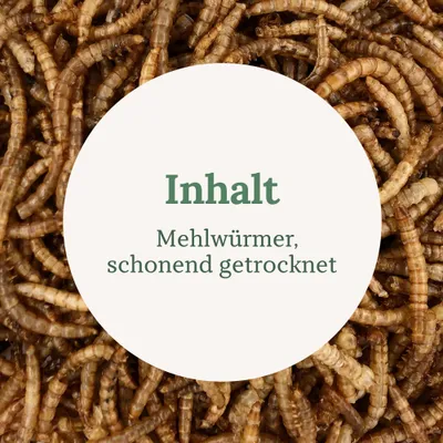 Orni Mehlwürmer getrocknet 500g Orni Mehlwürmer getrocknet 500g