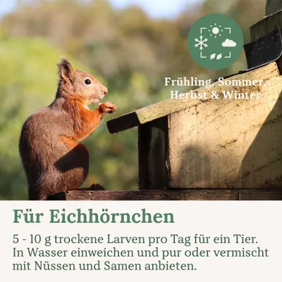 Orni Mehlwürmer getrocknet 500g Orni Mehlwürmer getrocknet 500g