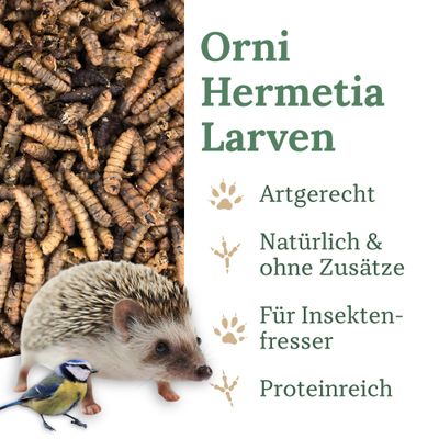 Orni Soldatenfliegenlarven getrocknet - Insektenfutter ohne Zusatzstoffe