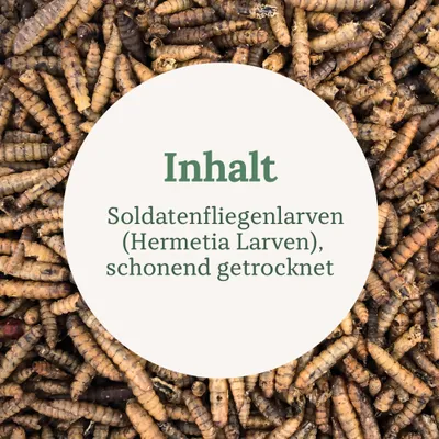 Orni Soldatenfliegenlarven 500g Orni Soldatenfliegenlarven 500g