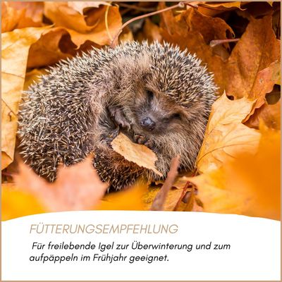 Supravit Igelfutter mit Insekten - Artgerechtes Futter für Igel Ganzjährig