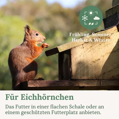 Orni Eichhörnchenfutter 1kg Orni Eichhörnchenfutter 1kg