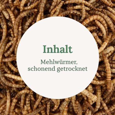 Orni Mehlwürmer getrocknet - Protein Insektenfutter für Wildvögel & Igel