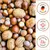 Supravit Nüsse-Mix für Eichhörnch 1kg