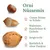 Orni Nüsse-Mix für Eichhörnchen 1kg