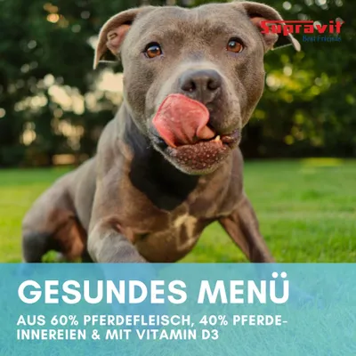 Supravit Hundenassfutter mit Pferdefleisch