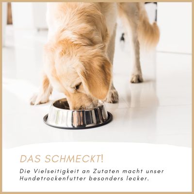 Supravit Hundefutter trocken Getreidefrei Sensitiv mit Lamm & Kartoffeln