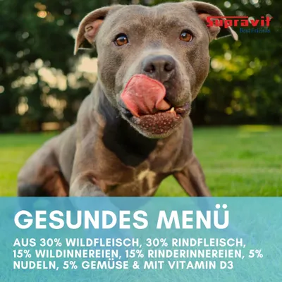 Supravit Hundenassfutter Wild & Rind