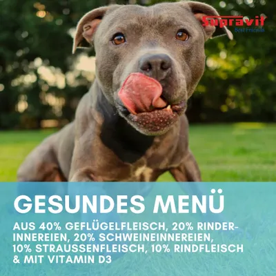 Supravit Hundenassfutter mit Straußenfleisch