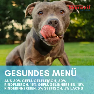 Supravit Hundenassfutter mit Fisch 6 x 820g