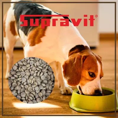 Supravit Hundetrockenfutter Lamm 5kg Supravit Hundetrockenfutter Lamm 5kg