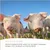 Supravit getrocknete Schweineohren 500g