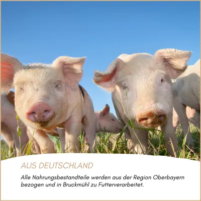 Supravit getrocknete Schweineohren 500g