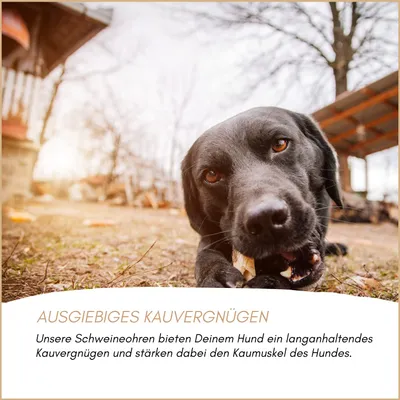 Supravit getrocknete Schweineohren 500g