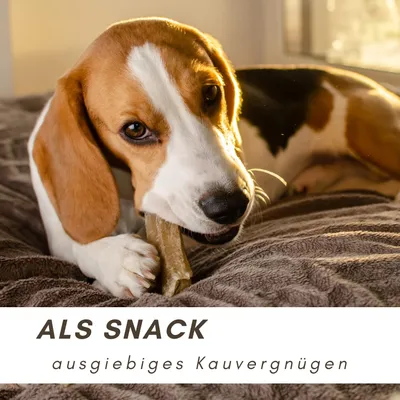Supravit Rinderkopfhaut Leckerli natürlicher Hunde Kausnack getrocknet Supravit Rinderkopfhaut Leckerli natürlicher Hunde Kausnack getrocknet