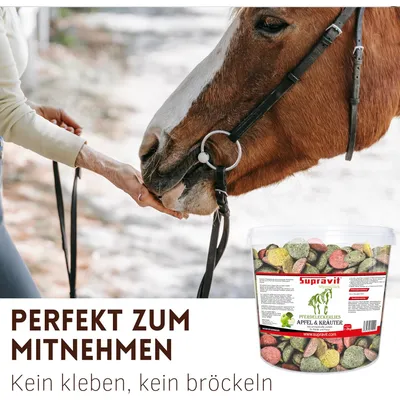 Supravit Pferdeleckerlies Apfel & Kräuter - Zuckerfreie Pferde Leckerlis