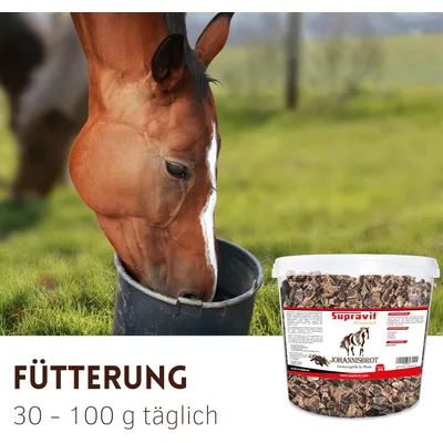 Supravit Johannisbrot - Pferdeleckerlis- Naturreines Carob Pferdefutter Supravit Johannisbrot - Pferdeleckerlis- Naturreines Carob Pferdefutter