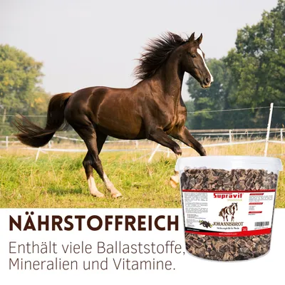 Supravit Johannisbrot - Pferdeleckerlis- Naturreines Carob Pferdefutter Supravit Johannisbrot - Pferdeleckerlis- Naturreines Carob Pferdefutter