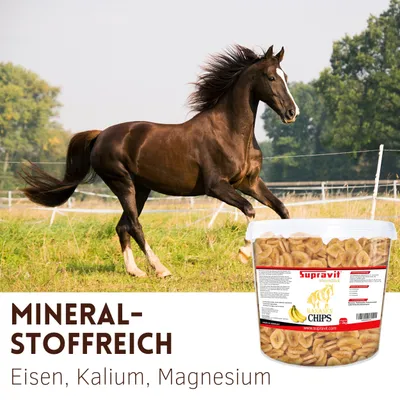 Supravit Bananenchips für Pferde Pferdeleckerlis knusprige Bananenscheiben