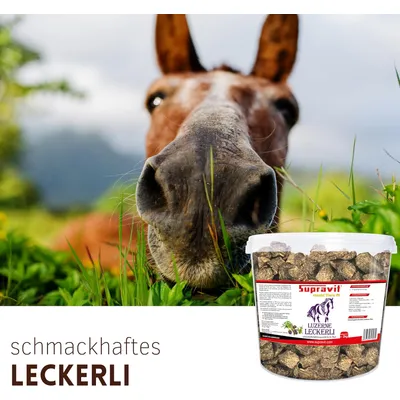 Supravit Luzerne Pferdeleckerlies - zuckerfreie Pferde Leckerlis