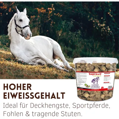 Supravit Luzerne Pferdeleckerlies - zuckerfreie Pferde Leckerlis