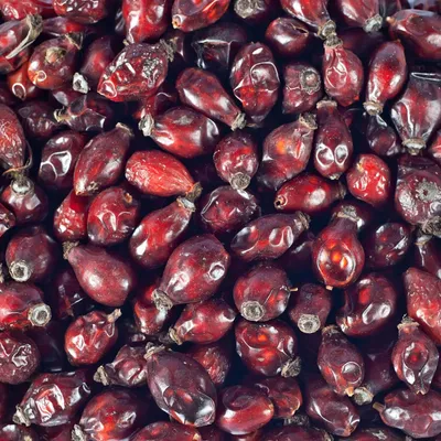 Supravit Hagebutten Pferd - Mit viel Vitamin C für Pferde und Ponys