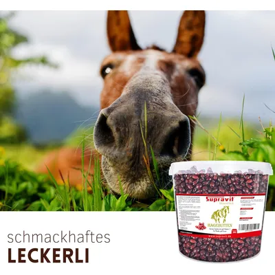 Supravit Hagebutten Pferd - Mit viel Vitamin C für Pferde und Ponys