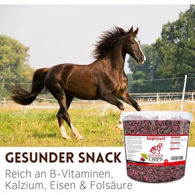 Supravit Rote Beete Chips - Pferdeleckerlis ohne Zucker Chips für Pferde