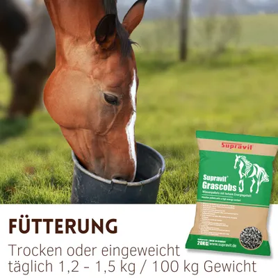 Supravit Grascobs für Pferde 20kg Supravit Grascobs für Pferde 20kg